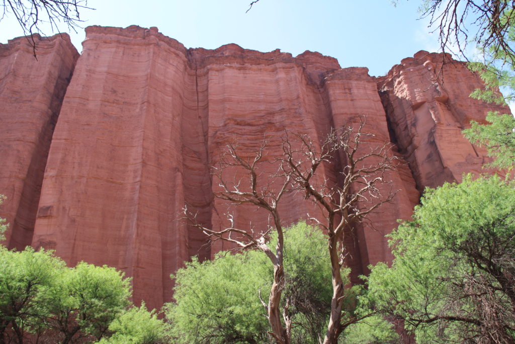 Cañón de Talampaya